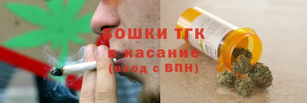 дмт Елабуга