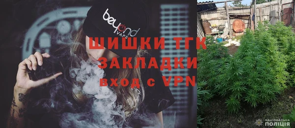дмт Елабуга