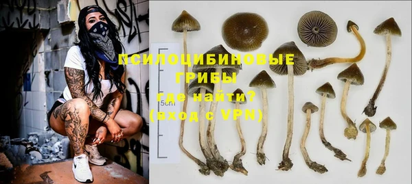 дмт Елабуга